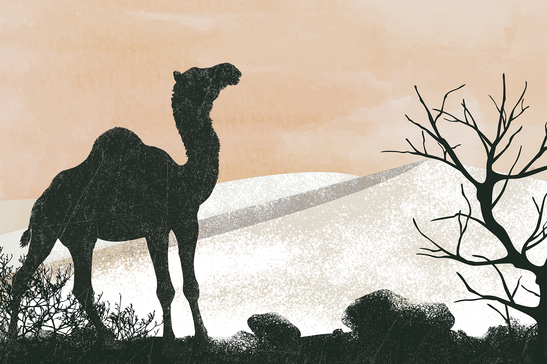 Le tour du Monde des mammifères