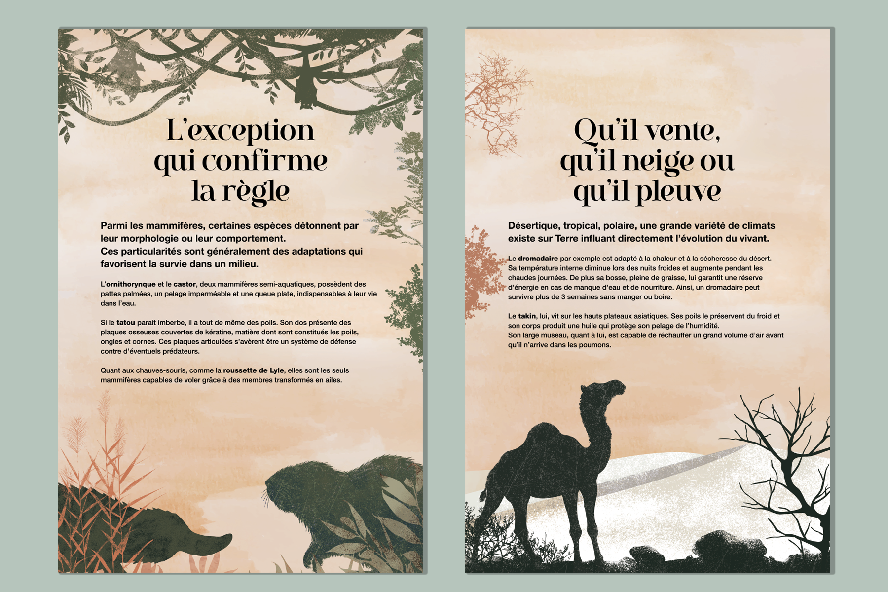 Le tour du Monde des mammifères