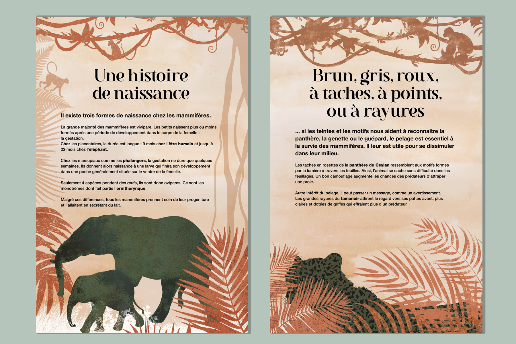 Le tour du Monde des mammifères